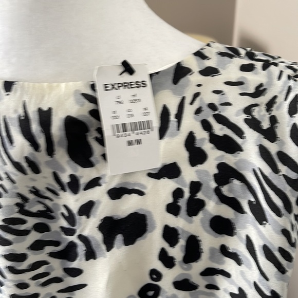 Express Dress - Picture 5 of 6